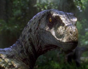 Wave Accounting: The Velociraptor of Accounting Solutions