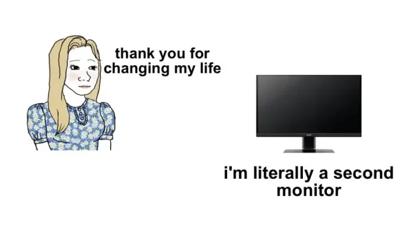 Thank You For Changing My Life

I'm literally a second monitor