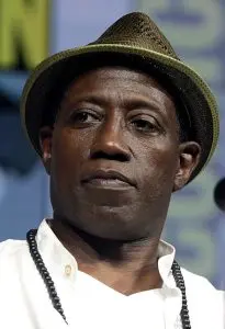 Wesley Snipes, the famous American actor, film producer, and martial artist, has been charged with numerous offenses by federal prosecutors. He is accused of hiding money in overseas accounts and failing to file federal tax returns on his income for many years. The prosecutors estimated his tax debt to be $12 million. 