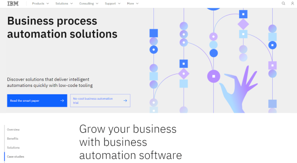 IBM is one of the most scalable business process automation tools.